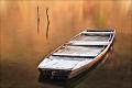 890 - THE BOAT - VUKADINOVIC DJORDJE - serbia